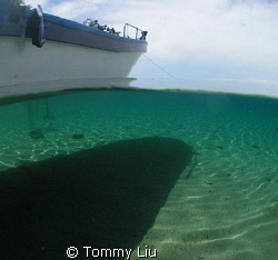 This photo was taken in 2007, Ambom, Indonesia. Between t... by Tommy Liu 